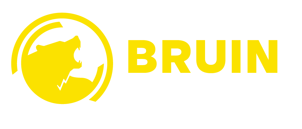 BRUIN 1847 BD